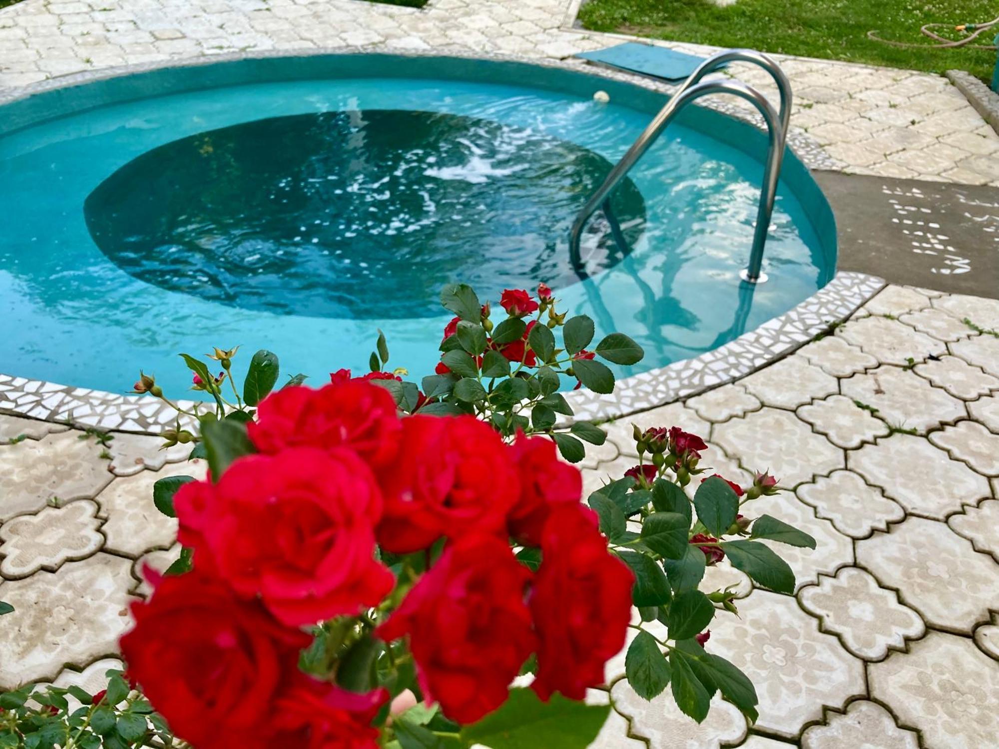 White House With Sauna And Jacuzzi Novi Sad Dış mekan fotoğraf
