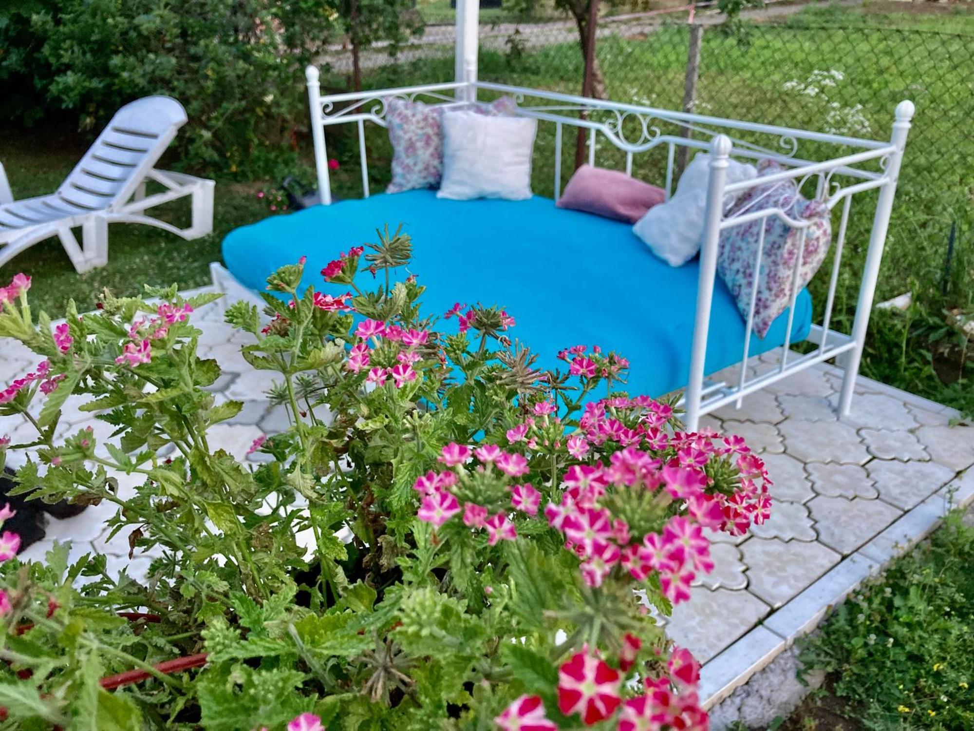 White House With Sauna And Jacuzzi Novi Sad Dış mekan fotoğraf