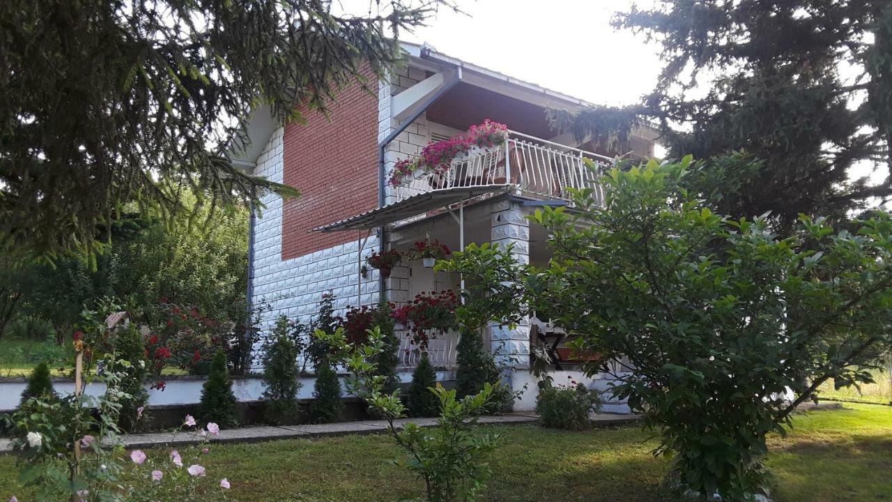 White House With Sauna And Jacuzzi Novi Sad Dış mekan fotoğraf