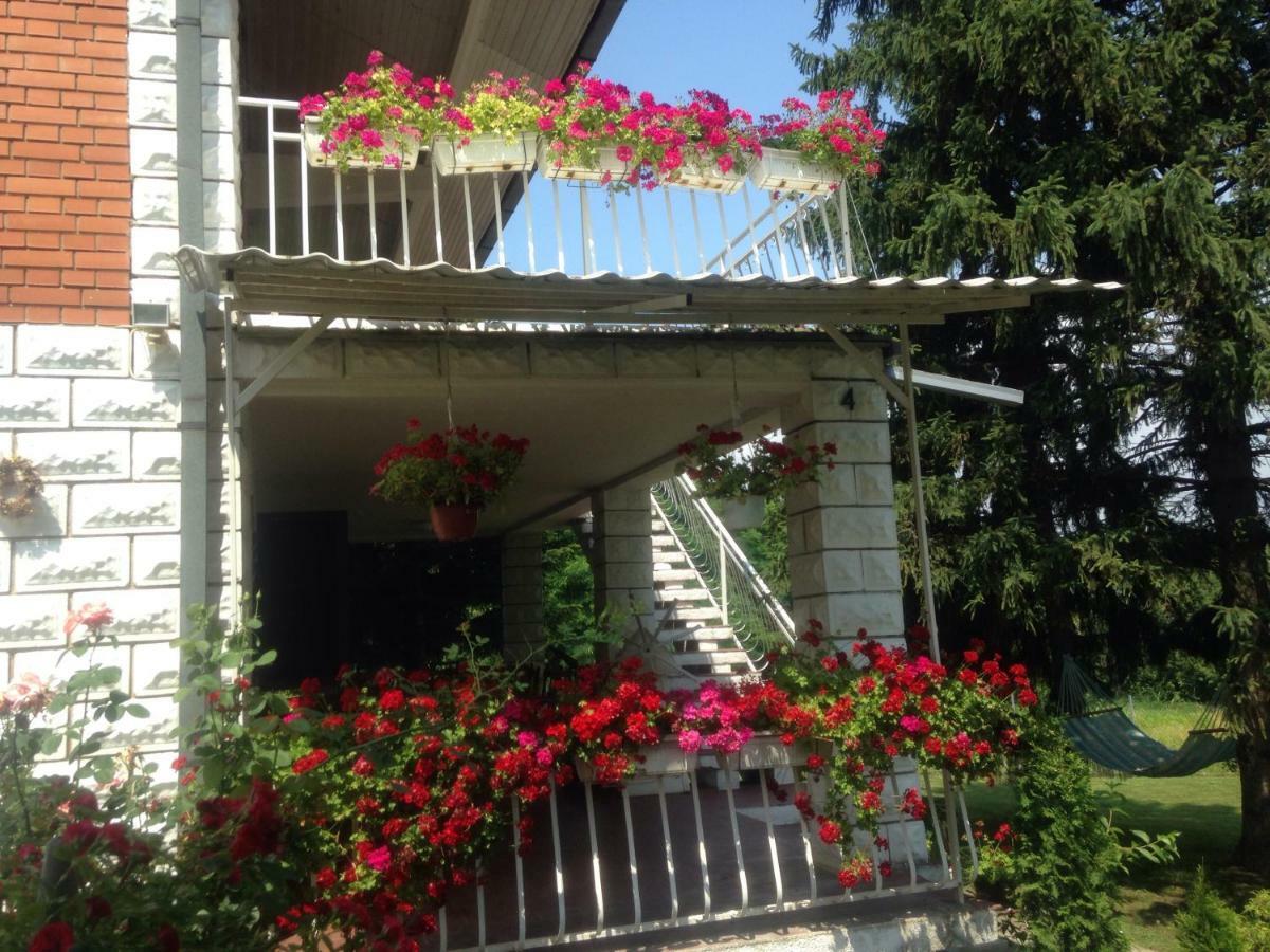 White House With Sauna And Jacuzzi Novi Sad Dış mekan fotoğraf