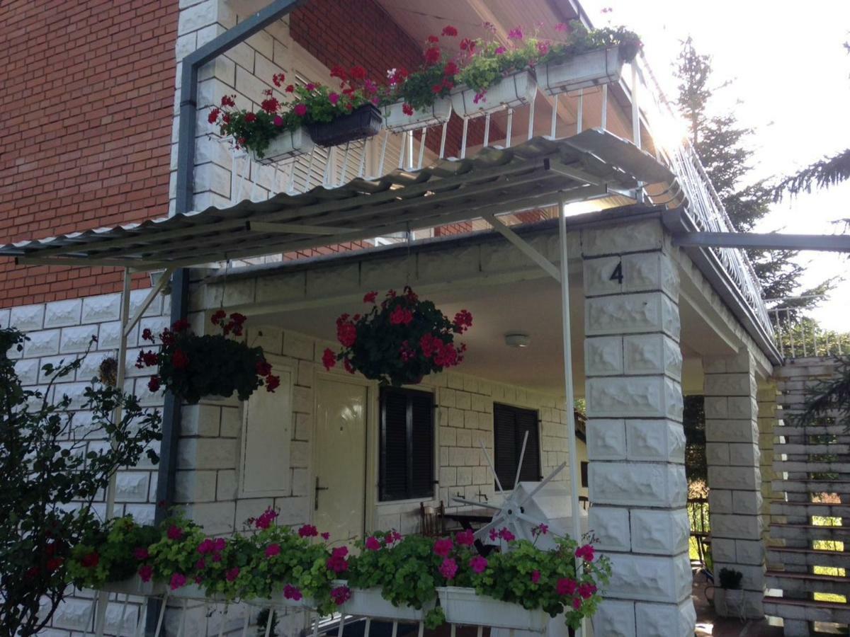 White House With Sauna And Jacuzzi Novi Sad Dış mekan fotoğraf