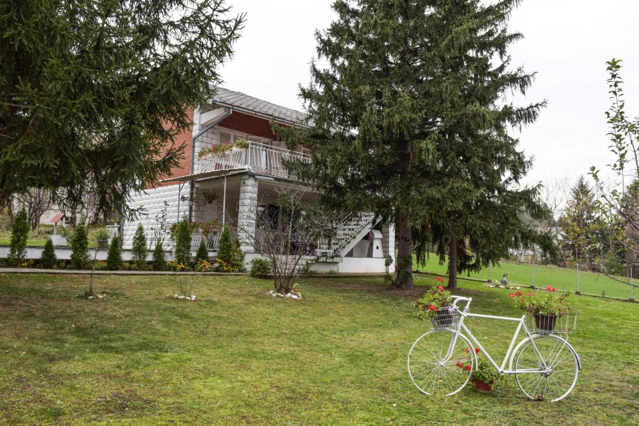 White House With Sauna And Jacuzzi Novi Sad Dış mekan fotoğraf