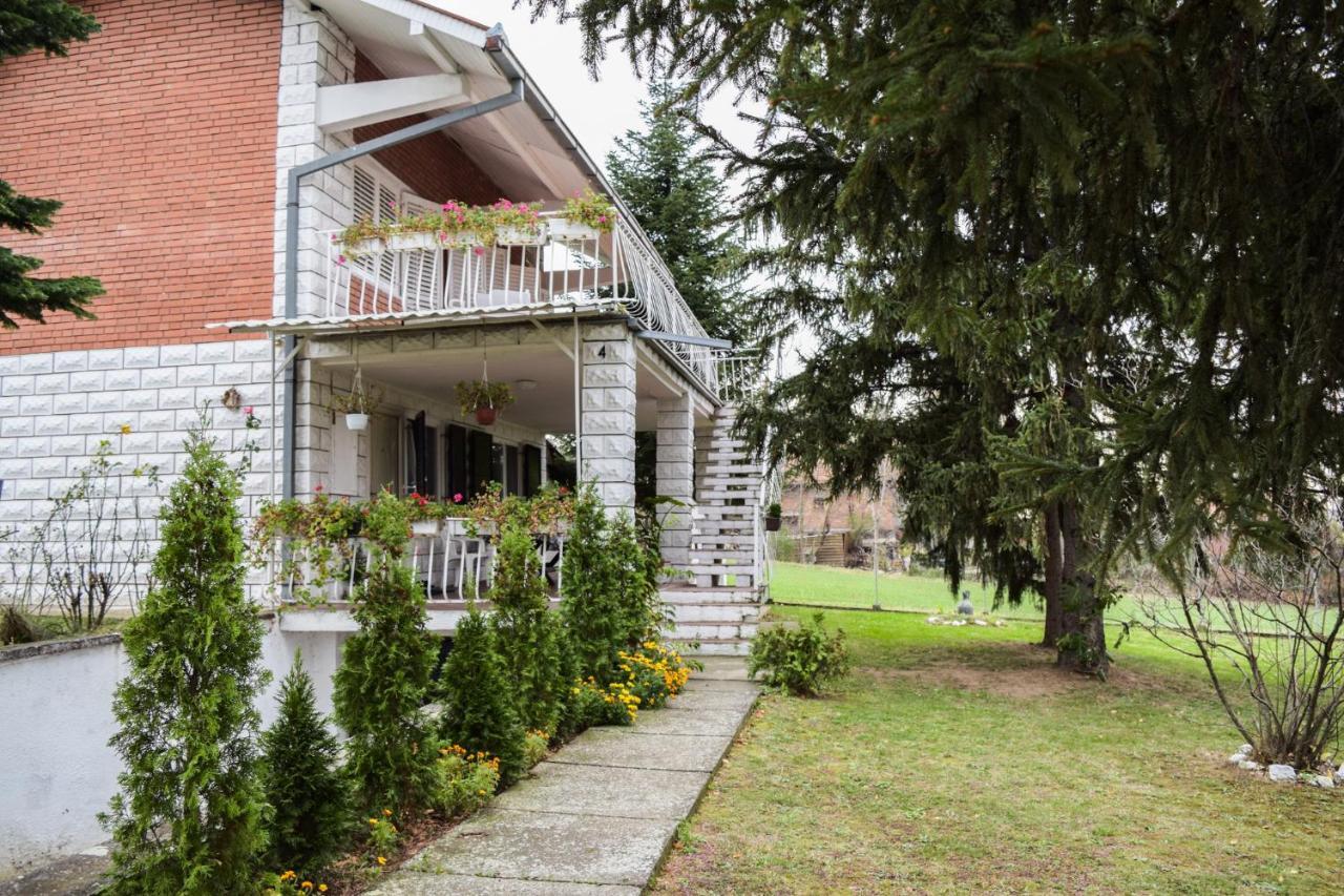 White House With Sauna And Jacuzzi Novi Sad Dış mekan fotoğraf
